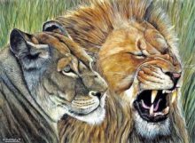 schilderij leeuw